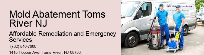 Mold Abatement Toms River NJ