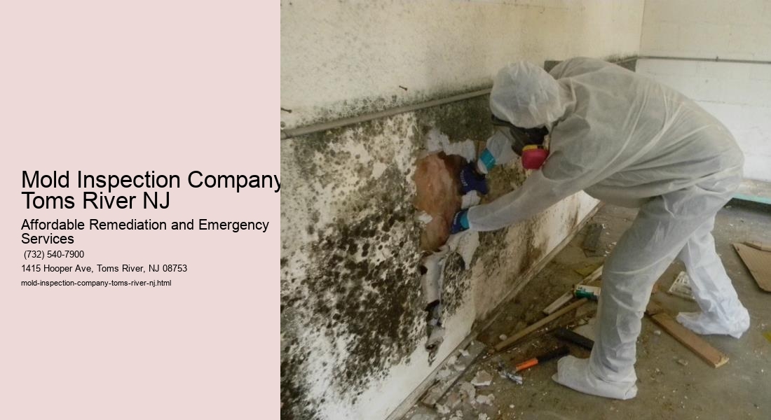 Mold Inspection Company Toms River NJ
