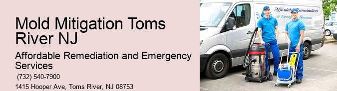 Mold Mitigation Toms River NJ