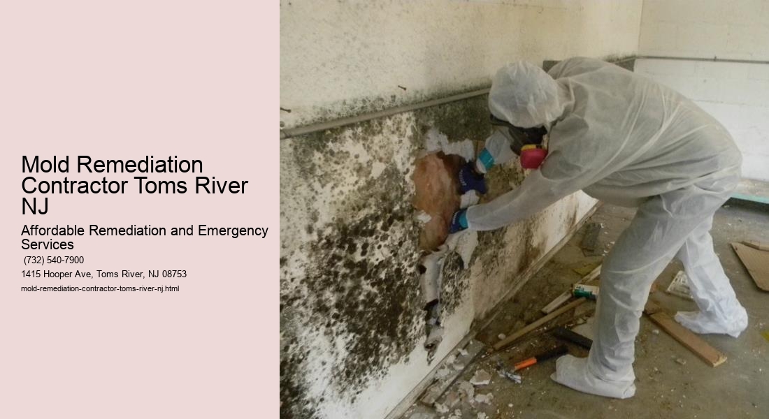 Mold Remediation Contractor Toms River NJ