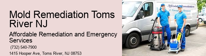 Mold Remediation Toms River NJ