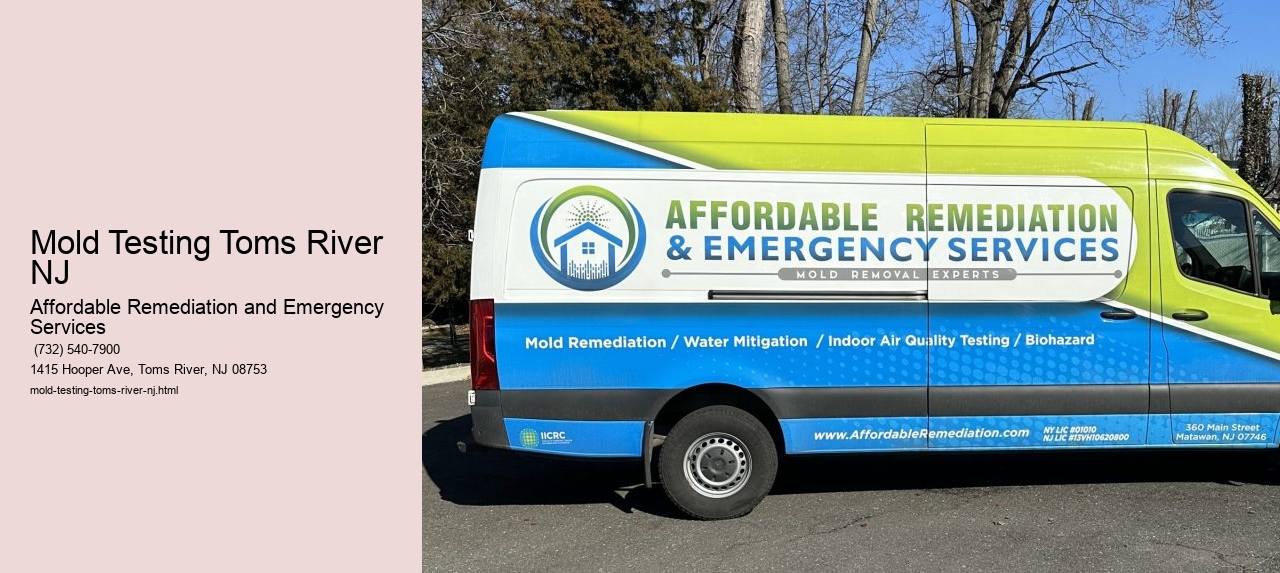 Mold Testing Toms River NJ