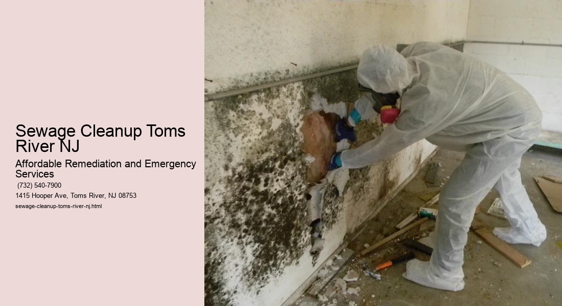 Sewage Cleanup Toms River NJ