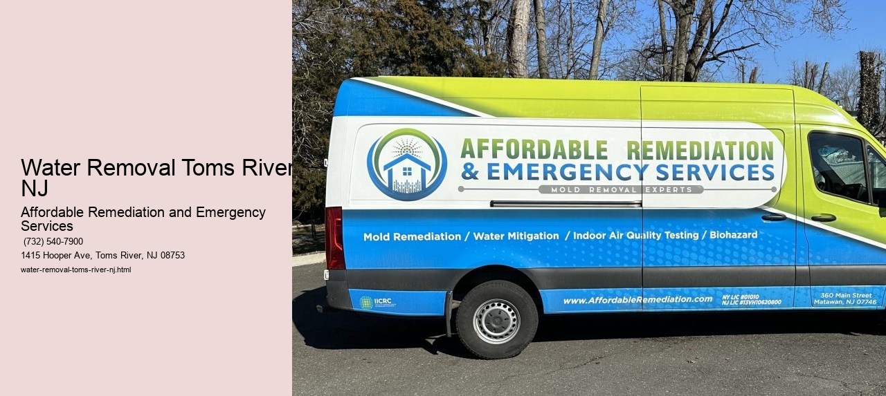 Water Removal Toms River NJ
